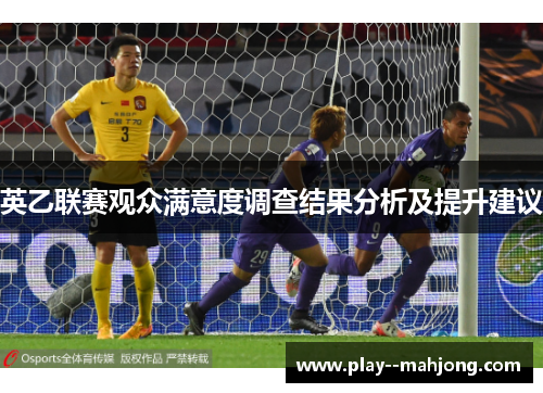 英乙联赛观众满意度调查结果分析及提升建议