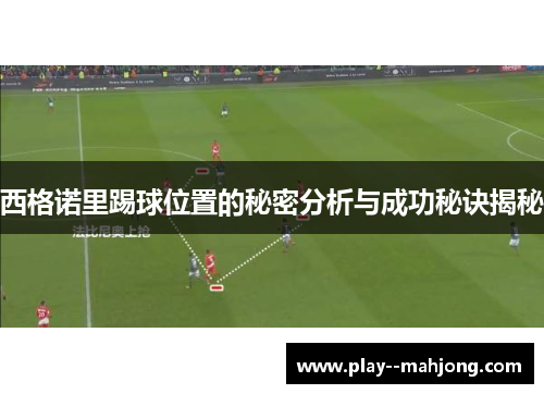 西格诺里踢球位置的秘密分析与成功秘诀揭秘