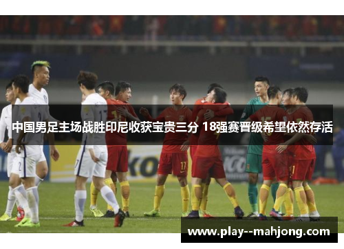 中国男足主场战胜印尼收获宝贵三分 18强赛晋级希望依然存活 中国男足主场战胜印尼收获宝贵三分 18强赛晋级希望依然存活